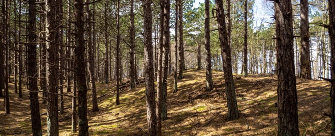 Sessão de Esclarecimento sobre Fundo Ambiental