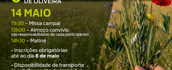 Cartaz Comemoração do Dia da Espiga