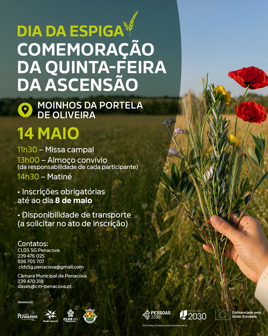 Cartaz Comemoração do Dia da Espiga
