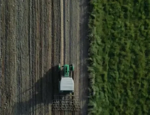 Inquérito à Estrutura das Explorações Agrícolas 2026