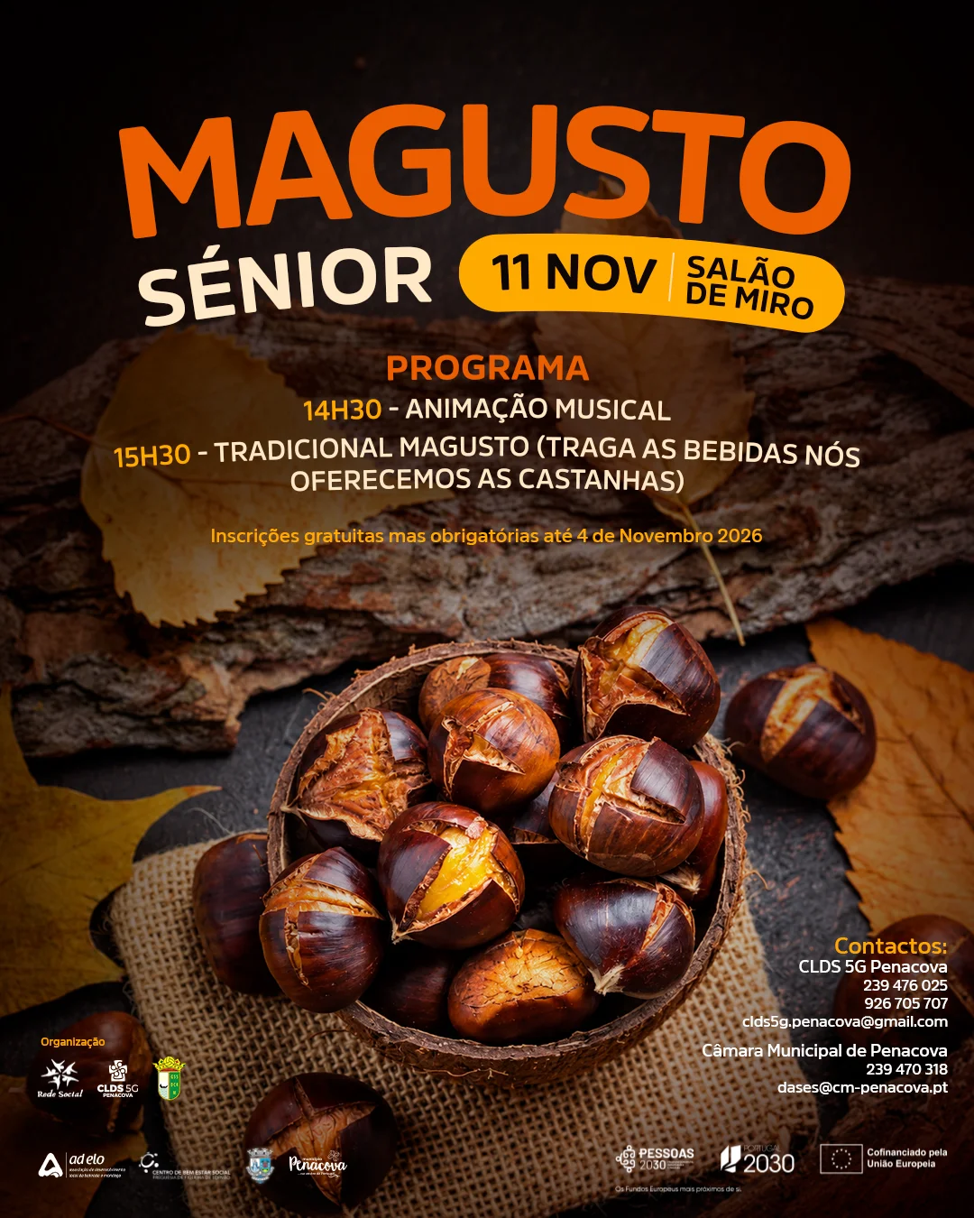 Magusto sénior 2026